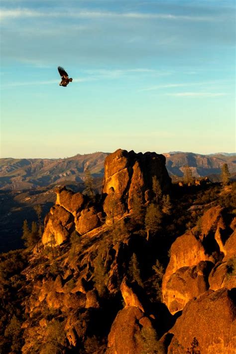 Californias Pinnacles National Park Is A Hidden Gem Travel And