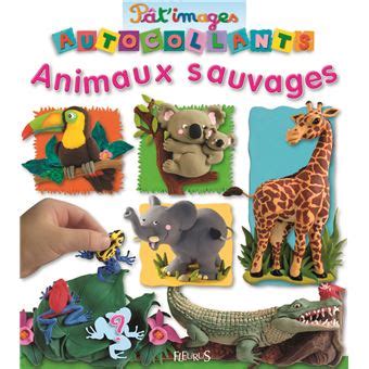 Animaux Sauvages Broch Emilie Beaumont Nathalie B Lineau