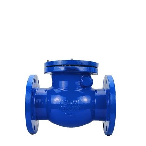 Cast Iron Swing Check Valve Flanged Type DIN Pn16 Ce Approval