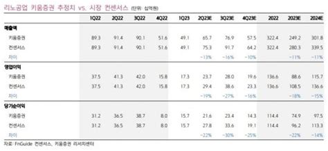 리노공업 단기 실적 부진 전망목표가 하향 네이트 뉴스