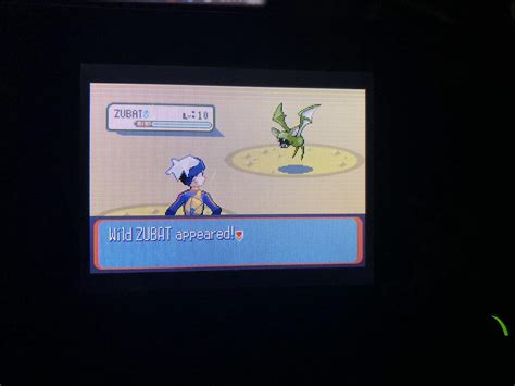 [Gen 3] Shiny Zubat in Granite Cave after only 1,374 RE’s. Not the Aron ...