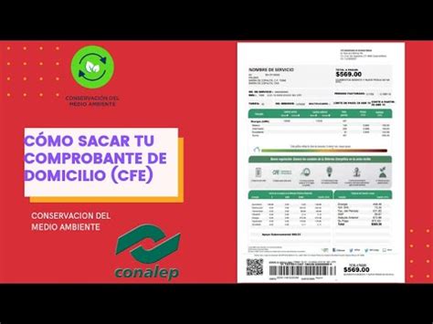 C Mo Sacar Tu Comprobante De Domicilio Cfe Youtube