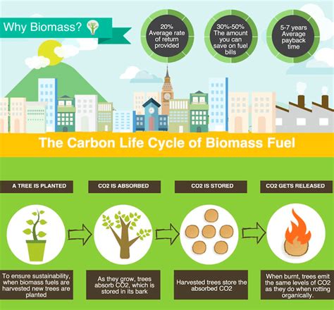 Best Uses of Biomass: A Green Renewable Bio-energy