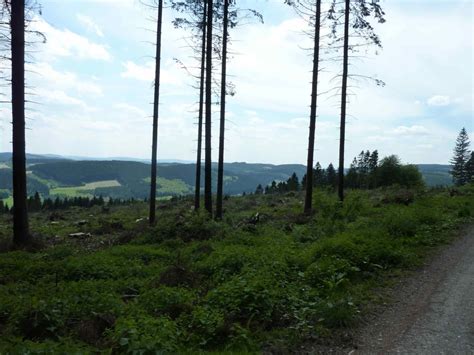 Wandern Auf den Höhen des Sauerlandes Herren Wanderung Tour 58488