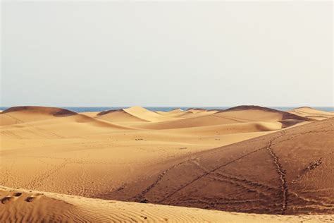 Zu Gast Auf Der Insel Der Ewigen Sonne Gran Canaria Entdecken Prinz