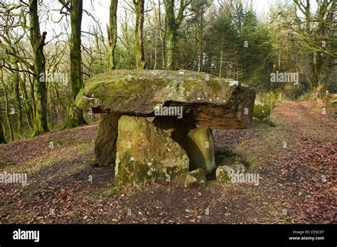 Neolithic Tomb Wales Uk Dolmen Carmarthenshire Hi Res Stock Photography