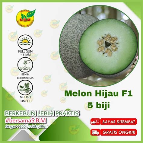 Jual 5 Benih Melon Hijau F1 Hibrida Melani Bibit Tanaman Buah Melon