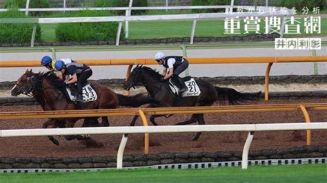 【クイーンs 2023】最終追い切りを動画で解説井内利彰 競馬予想動画 Netkeiba