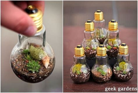 Adorable Miniature Terrarium Ideas For You To Try Handy Diy