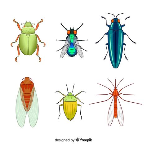 Free Vector Colorful Insect Collection