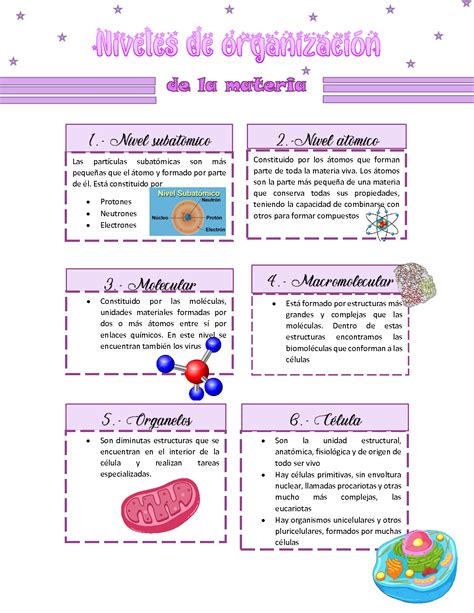 SOLUTION Niveles De Organizaci N De La Materia Studypool