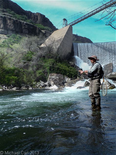 The Ecological Angler Lower Stanislaus River