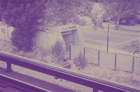 What would I need to do to color balance this photo? : r/analog