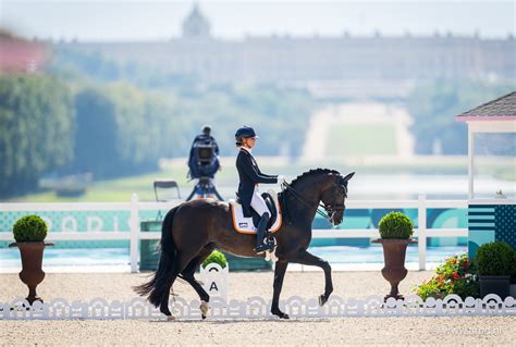 Hermès niet langer vastgelegd door N O P Horses