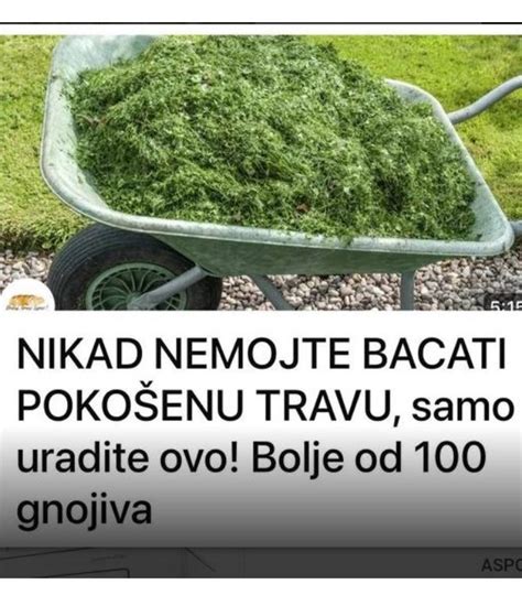 Nikad Nemojte Bacati Poko Enu Travu Samo Uradite Ovo Bolje Od