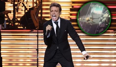 Luis Miguel Sufre Ca Da Durante Show En Ciudad De M Xico