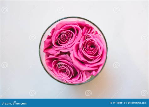 Top View Of Pink Roses In Glass Stock Image Image Of Summer Pink