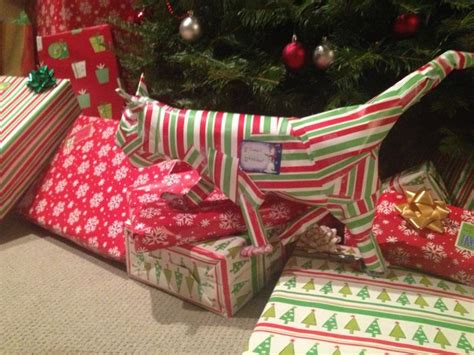 10 People Who Got Outrageously Creative In Wrapping Their Presents