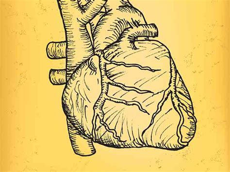 Heart Bypass Surgery: Preparation, Procedure, Recovery, and More