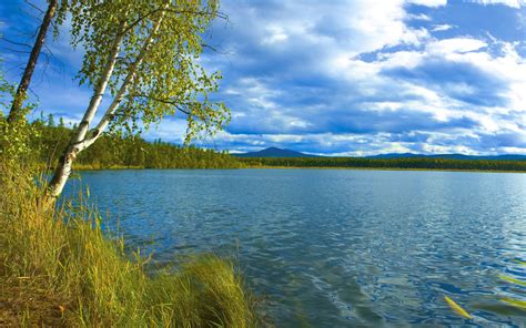 Free Images Landscape Sea Tree Nature Grass Horizon Sky Meadow