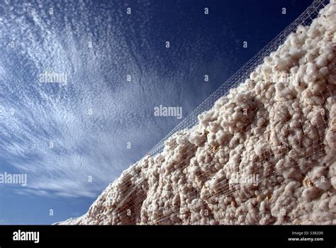 Cotton Module Hi Res Stock Photography And Images Alamy