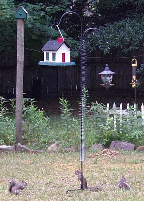 How To Keep Squirrels Out Of Bird Feeders