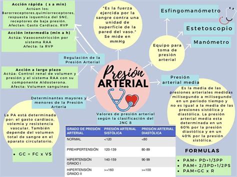 Resúmenes de Regulación de presión arterial Descarga apuntes de