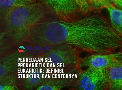 Perbedaan Sel Prokariotik Dan Sel Eukariotik Definisi Struktur Dan