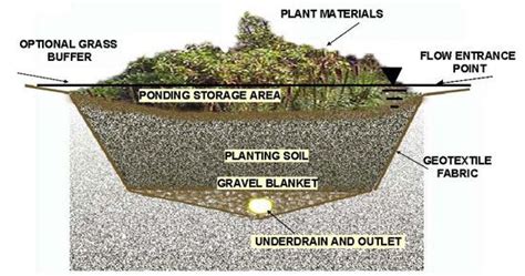 A Rain Garden Such As The One Shown Above Says Allen Davis Above Top