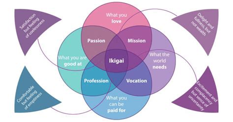 What Is Ikigai How To Find Your Ikigai