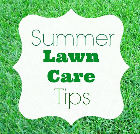 Summer Lawn Care Tips