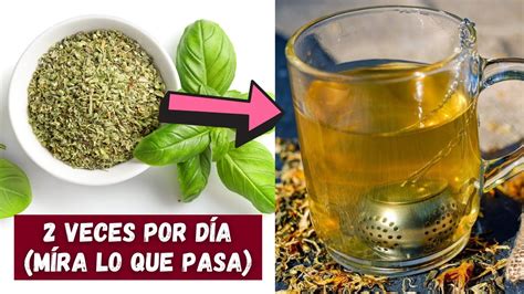 ¿para QuÉ Sirve El TÉ De OrÉgano 🔴 10 Beneficios Del Orégano Para La Salud Youtube