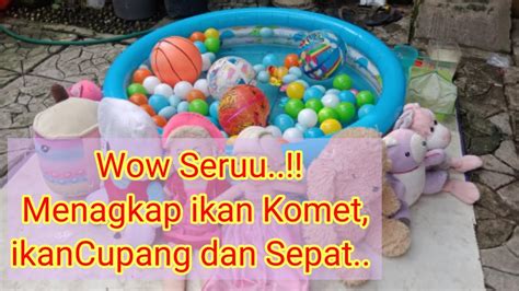 Wow Seruu Menangkap Ikan Komet Ikan Cupang Dan Ikan Sepat