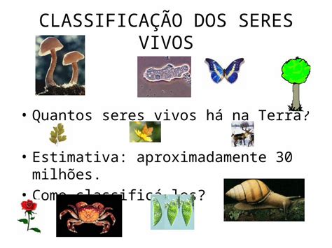 Ppt Classifica O Dos Seres Vivos Quantos Seres Vivos H Na Terra