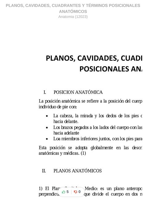 Planos Cavidades Cuadrantes Y Terminos Posicionales Anatomicos Compress