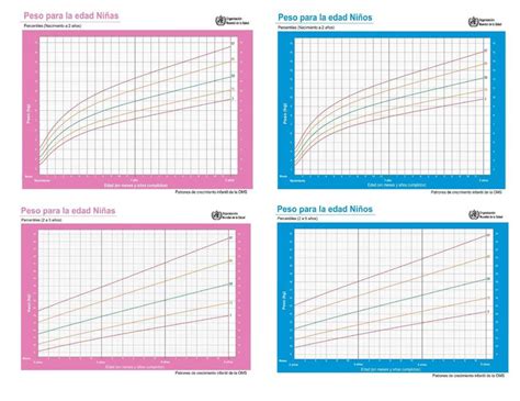 Curvas De Crecimiento Msp Enfermedades Salud Udocz Hot Sex Picture