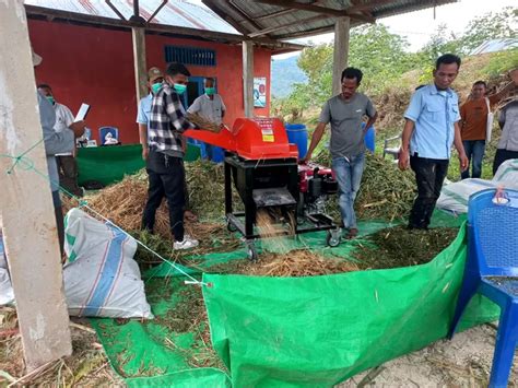 Brin Bersama Dpkh Manggarai Barat Gelar Bimtek Pengolahan Pakan Ternak