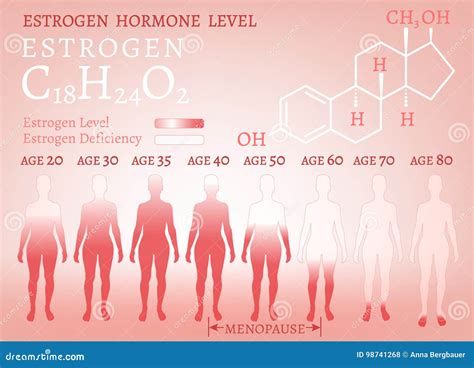 Estrogen Woman Image Stock Vector Illustration Of Body 98741268