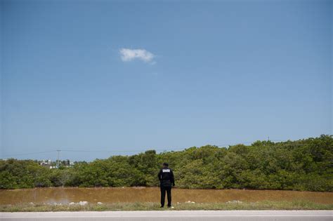 La Jornada Maya Nacional La Jornada Maya Grupo México Derrama 3 Mil Litros De ácido