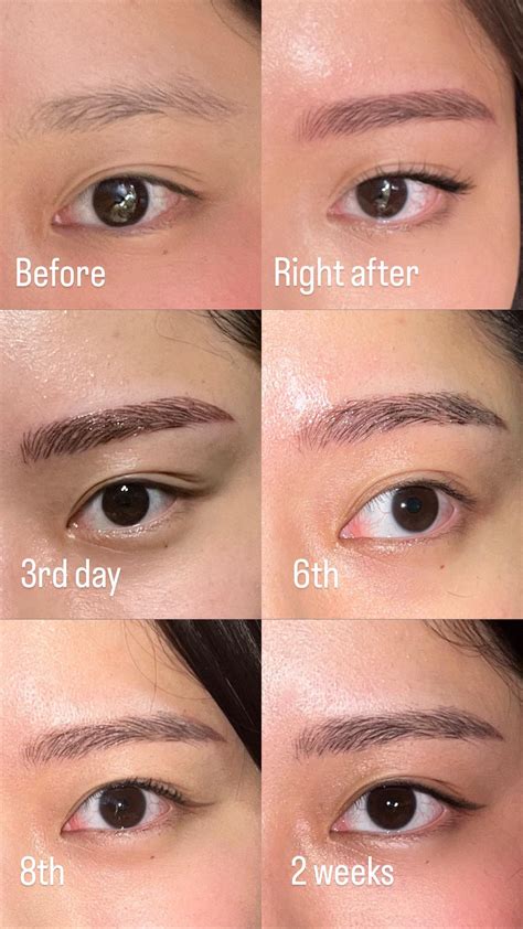 Microblade Healing Process And Update Super Love My Eyebrows Right Now