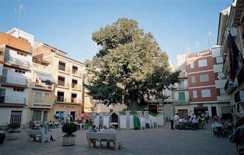 LA RESIDENCIA NAVAS ALTAS DE NAVAJAS NECESITA INCORPORAR UN ENFERMERO O