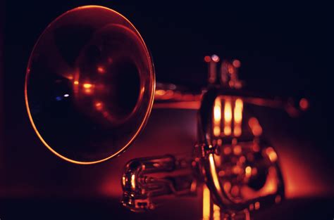 Black Copper Trumpet Free Stock Photo | FreeImages