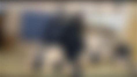 Amateur Porn Fetish Porn Videos Clips4sale