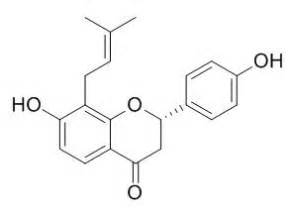 Bavachin CAS 19879 32 4 Bavachinin CAS 19879 30 2 5