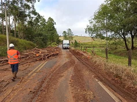 Carreta Tomba E Derruba Toras De Madeira Em Vicinal De Itatinga