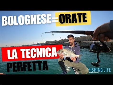 A Pesca Di Orate Con La Tecnica Della Bolognese Pasturatore Drone K