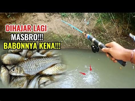 MANTAPP JORAN SUPER LENTUR DI HAJAR IKAN MONTOK LAGI MASBRO