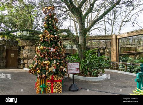 Central park zoo christmas hi-res stock photography and images - Alamy