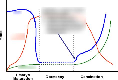 Seed Dispersal And Germination Diagram Quizlet