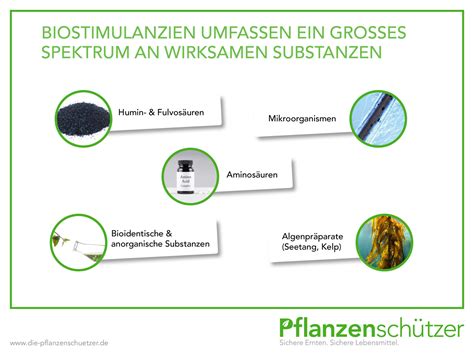 Biostimulanzien Produkte mit Zukunftspotenzial Pflanzenschützer